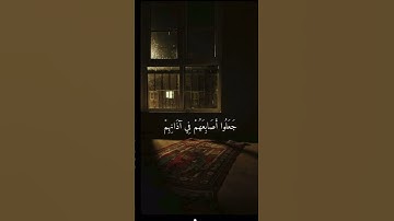 ‏سورة نوح.   (قال ربي إني دعوت قومي ليلا ونهارا فلم يزيدهم دعائي إلا فرارا￼￼#القرآن#كريم#قران#كريم.