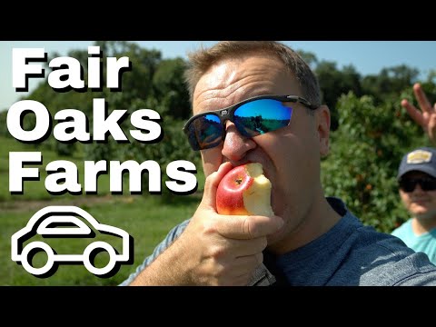 Family Road Trip to Fair Oaks Farms