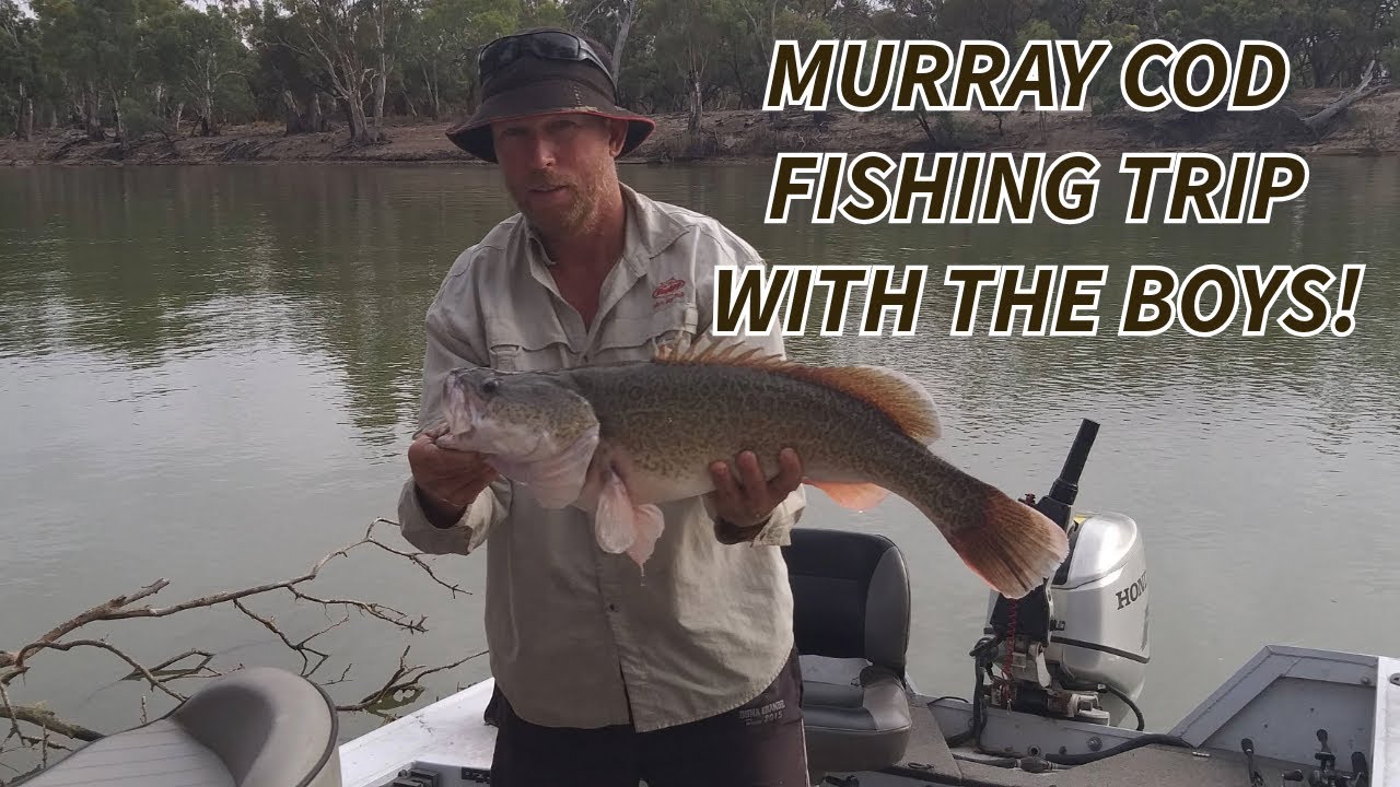 Murray River Cod Fishing Trip with the Boys! - YouTube