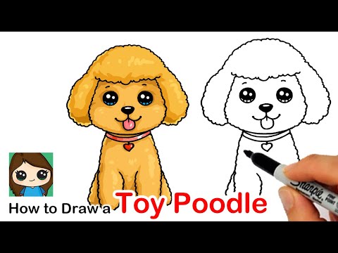 How to Draw a Toy Poodle Puppy Dog Easy - YouTube