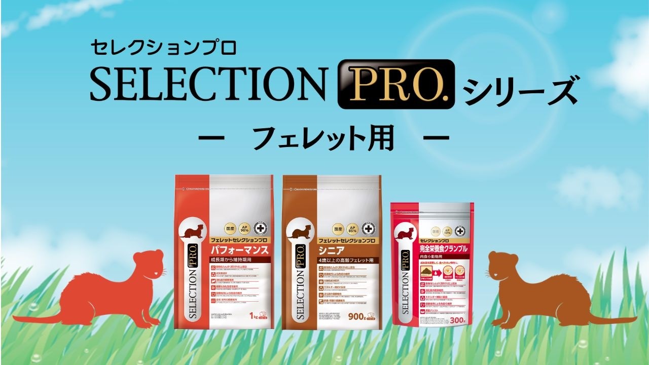 FERRET SELECTION PRO.｜ブランドサイト ― TOP