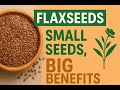 How Flaxseeds Transform Your Health 🌱 | Benefits + Who Should Avoid Them