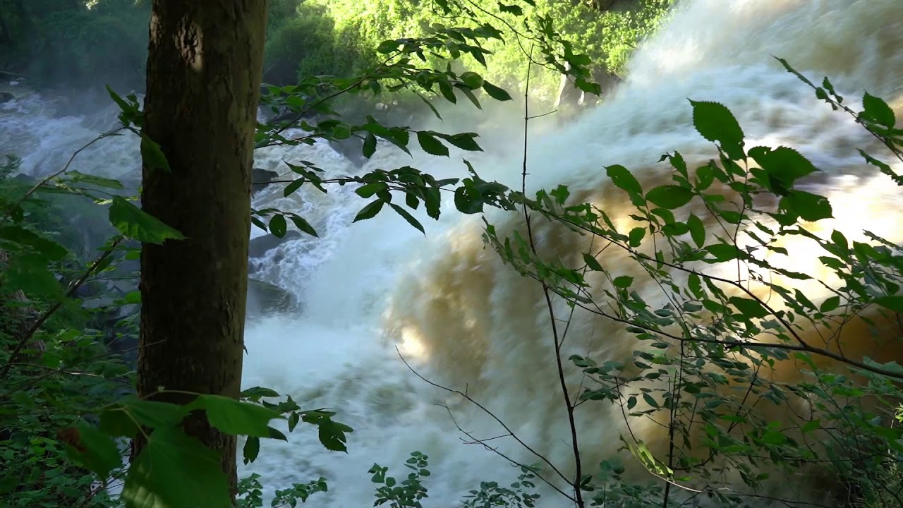 Boston Mills Artfest & Brandywine Falls