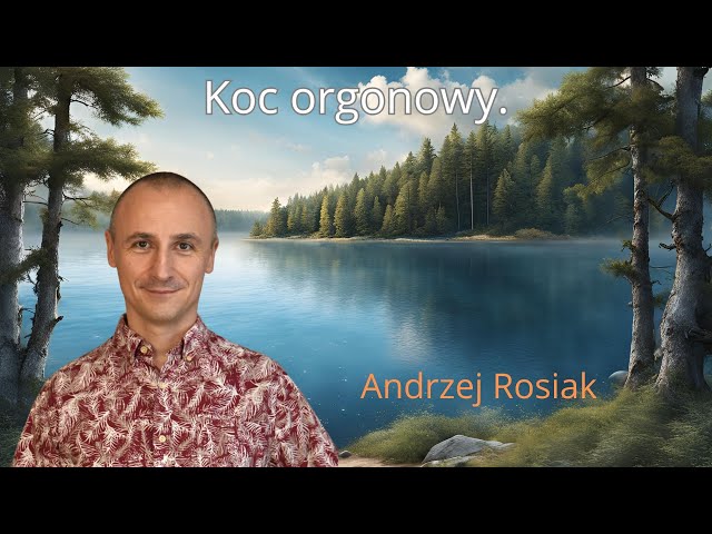Koc orgonowy.
