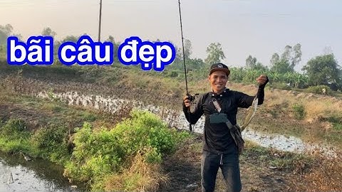 câu cá lóc | đi câu 140km (buổi sáng) | rong chơi miền tây#fishing #lurecaloc #sonrau