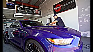 Shelby gt350 Paint Correction With Gyeon Primer As Final Finish
