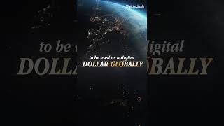 The Two Stablecoin Strategies Consumer Products Vs Invisible Infrastructure On