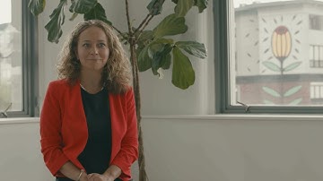 What size company is testRigor suited best for?