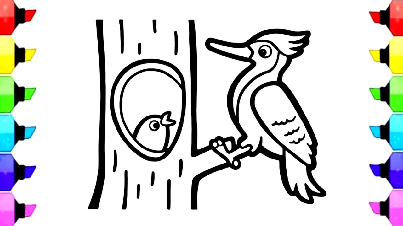 Woodpecker Drawing for Kids | Drawing, Painting and Coloring for Kids and Toddlers