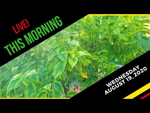 THIS MORNING LIVE!!