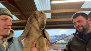 An unexpected birth has caught us off guard! Fiona &amp; Family updates!
