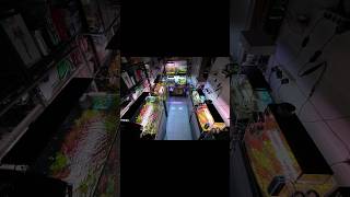 My Gallery Aquascape