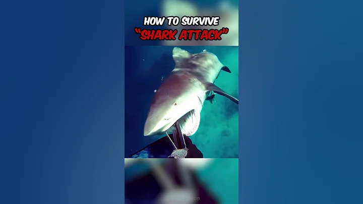 How to survive "Shark Attack"