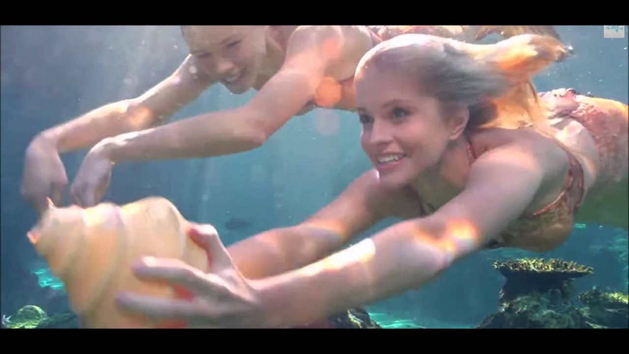 Mako Mermaids - News