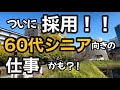 60代シニアが採用された仕事はシニア向き？！【シニアの仕事探し】