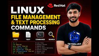 Linux File Management & Text Processing Commands | Red Hat Linux Tutorial