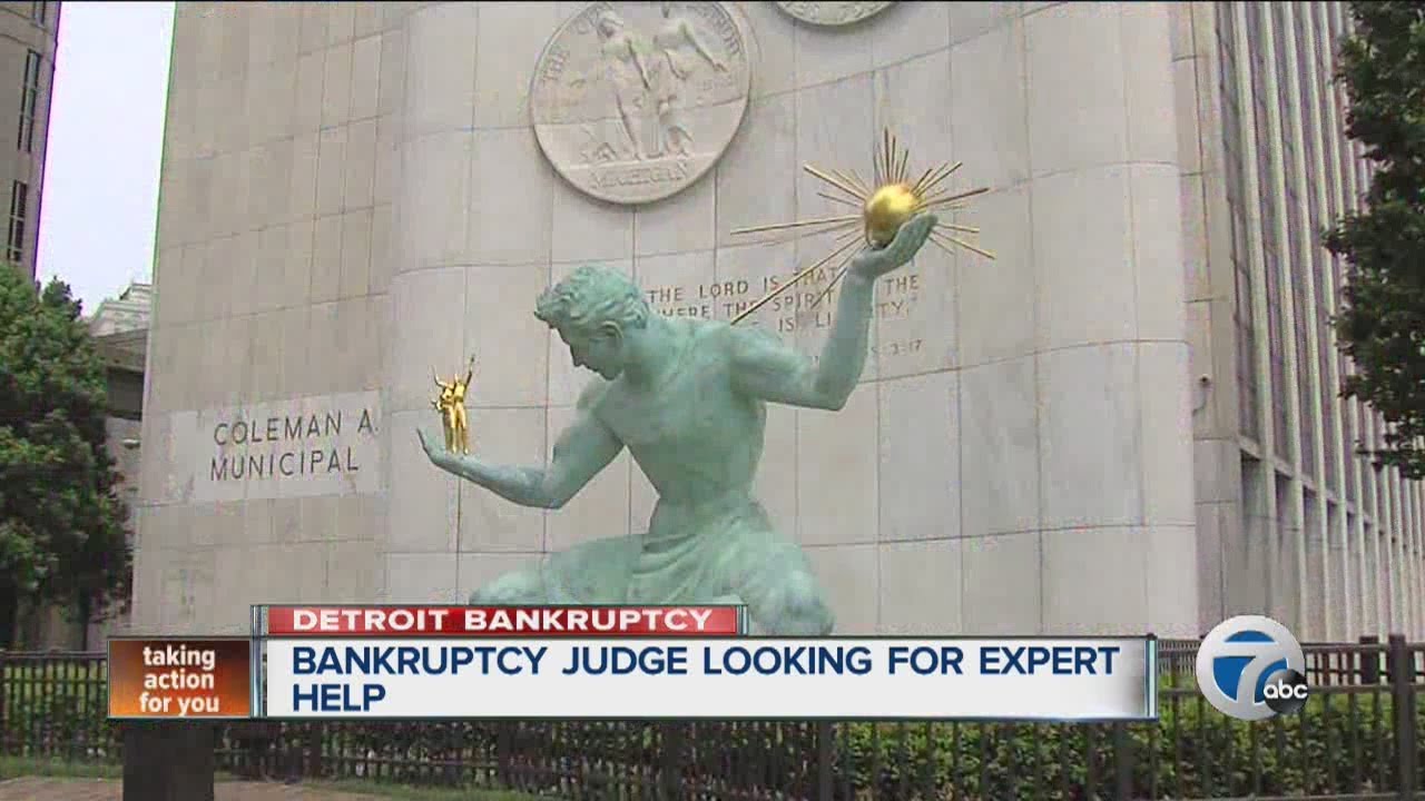 Bankruptcy Judge looking for expert help
