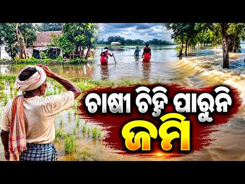 ସବୁ ବୁଡ଼ି ଗଲା …ସବୁ ଉଜୁଡ଼ି ଗଲା…| Knews Odisha