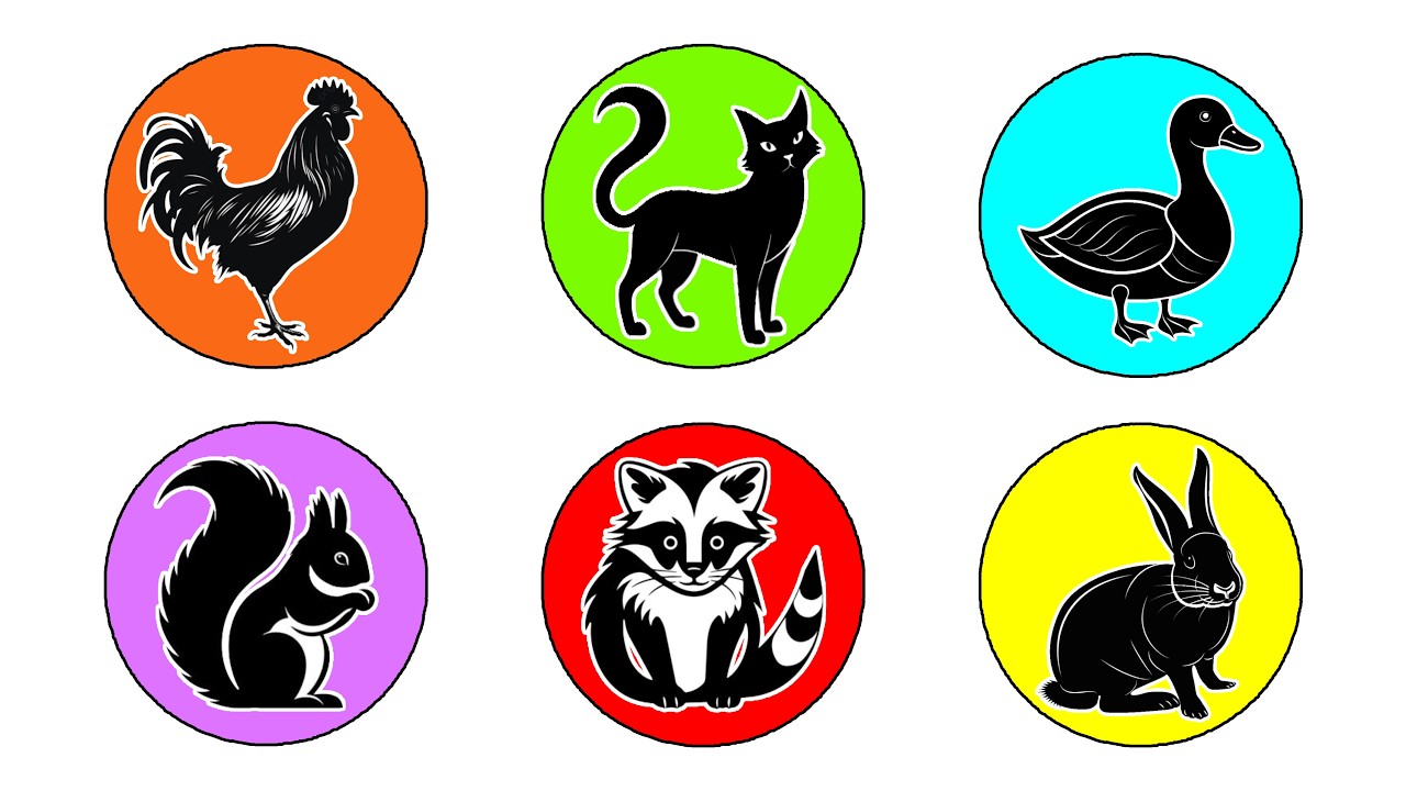 Pets : Kitten, Civet, Rooster, Duck, Rabbit, squirrel