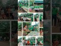 သန်လျင်မြို့နယ် ပြည်ခိုင်ဖြိုး ပါတီမှ ကျိုက်အင်းကျေးရွာ သို့ နိဗ္ဗာန်ဈေး ပွဲတော်သွားရောက်လှုဒါန်း