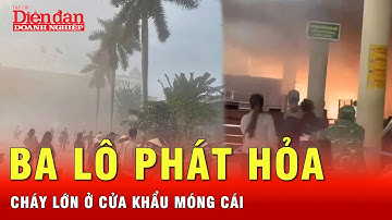 Đang nhập cảnh, ba lô của khách bất ngờ bốc cháy làm 4 người bị thương | Tin nhanh
