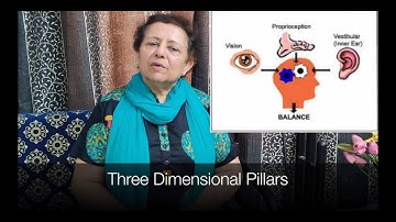 Dr. Nilima Patel - 1.3 Postural Control: The Three Dimensional Pillars