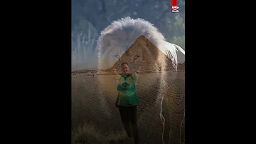 لما القرود تجتمع رضا البحراوي 