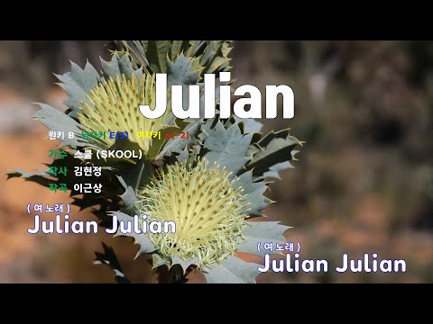 [은성 반주기] Julian - 스쿨(SKOOL)
