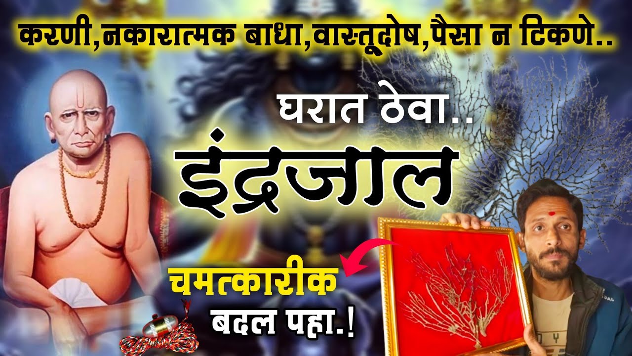 घरात ठेवा 'इंद्रजाल'| ❌ करणी, तंत्र बाधा, वास्तुदोष सर्व बंधन तोडणारी चमत्कारी वनस्पती|@Swaami24