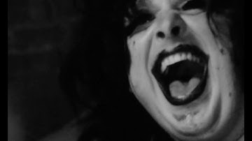 ジョン・ウォーターズ、23歳の出世作　悪趣味をまき散らす映画「マルチプル・マニアックス」＆「セシル・B／ザ・シネマ・ウォーズ」予告編