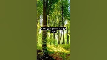 قرآن كريم بصوت الشيخ ماهر المعيقلي #اكسبلور #المصحف #ماهر_المعيقلي #quran #دويتو #لايك #راحة_نفسية
