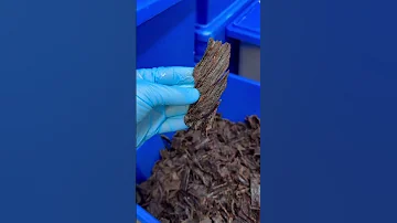 POV Waking Up To 3 000 Orders MaxtheMeatGuy To The Rescue 