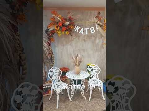 А за что вы, благодарите Бога? #христианскиепесни #христианское_видео #жатва #пение # short