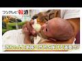 難病の治療を乗り越えるため、日々奮闘している赤ちゃんと、そのお母さんお父さんに“癒やし”を届けたい!NICUで毎週金曜日に開かれるピアノ演奏会