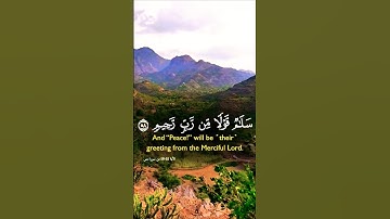 تلاوة خاشعة بصوت يريح الأعصاب #elmulquranعلم #قران_كريم #تلاوة #المصحف #اكسبلور #trend #لايك