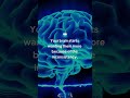 Dark Psychology Tricks Used in Dating