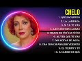 Top hits chelo 2024  mejor chelo lista de reproduccin 2024