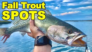 Top 3 SPOTS To Catch Big Speckled Trout In The Fall