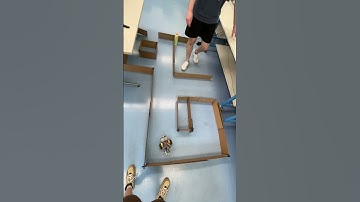 ECE 314 Maze-Solving Robot