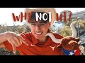 Why you should NOT go to UT Austin! (TOP 5 REASONS)