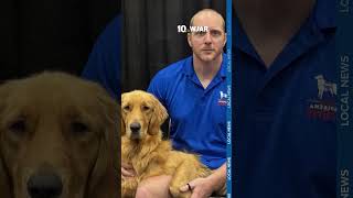 Inmates train dogs to assist veterans, first responders