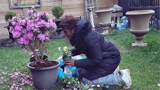 Making A Grow Station From Someone Else's Garbage