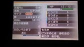 ポケモンxy 孵化厳選 6v誕生 Part1 Youtube ポケモンxy 孵化厳選 6v誕生 Part1 Youtube