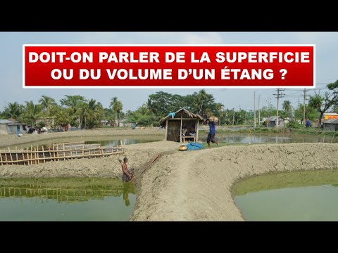 Vidéo: De ce côté de l'étang, ça veut dire ?