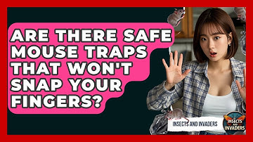 Are There Safe Mouse Traps That Won