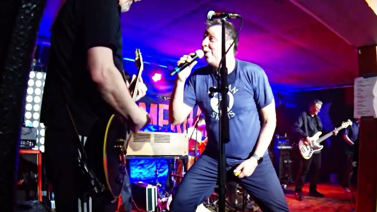 Hammerhai: Thekenzecken (live)