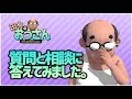 質問と相談に答えてみました。