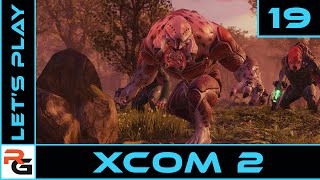 XCOM2 | Ep19 | Berserkers everywhere | Let's Play