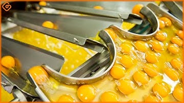 Modern Food Technology Processing Machines Operating At An Insane Level ▶2