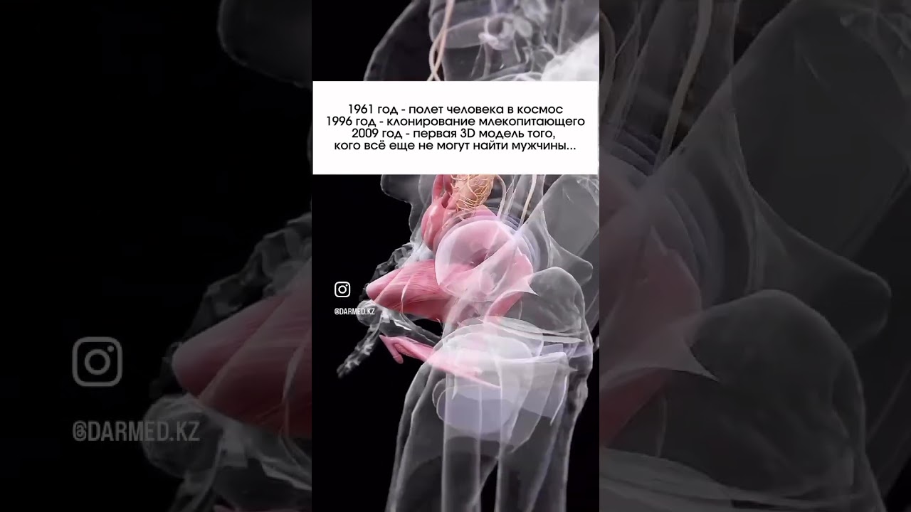 Рассказала куда и когда прячется клитор в новом видео на канале